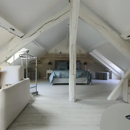 Charming T3 Hypercentre Lägenhet