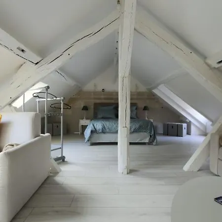 Appartement Charming T3 Hypercentre Tours