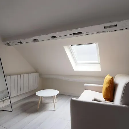 Charming T3 Hypercentre Appartement Tours