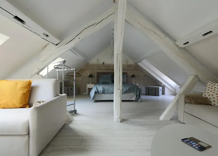 Charming T3 Hypercentre 公寓